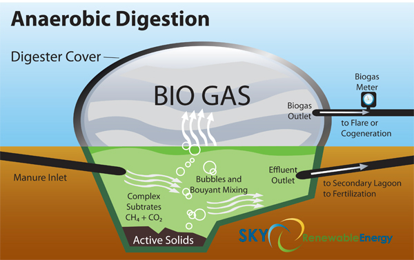 Impianto a biogas a Casalfiumanese: partita riaperta?
