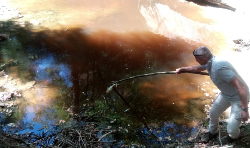 Arpae rassicura: “nessun inquinamento al Rio di Gaggio”