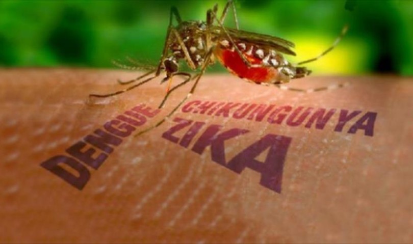 Virus Zika, la soluzione può arrivare dai ricercatori bolognesi